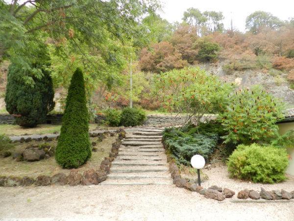 Domaine De La Palle Pontgibaud Esterno foto
